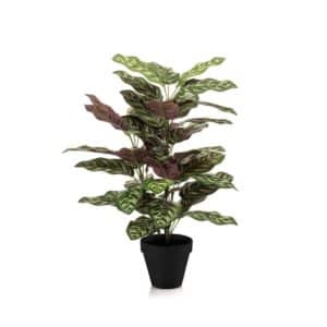 Artificial Calathea Bush H65cm in Pot