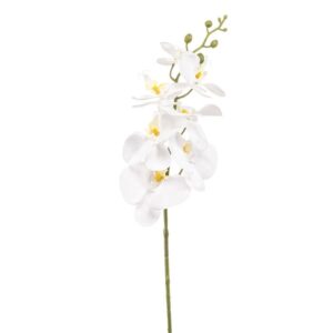 Artificial Phalaenopsis Spray White L84cm