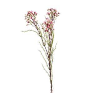 Artificial Wax Flower Spray Pink L78cm