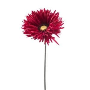 Artificial Gerbera Spider Spray Beauty L70cm
