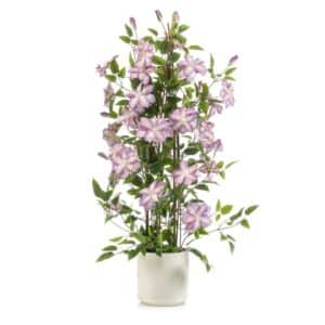 Artificial Clematis Pyramid Purple in Pot H120cm