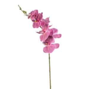 Artificial Phalaenopsis Spray Fuchsia L84cm