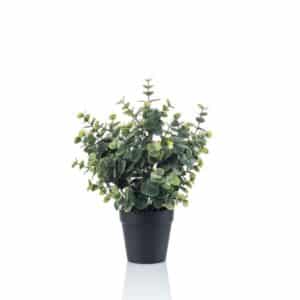 Artificial Eucalyptus Bush Green/grey H30cm in Black Pot