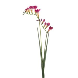 Artificial Freesia Spray Beauty L80cm