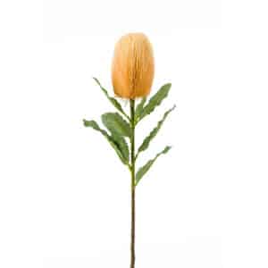 Artificial Banksia Spray Light Orange L65cm