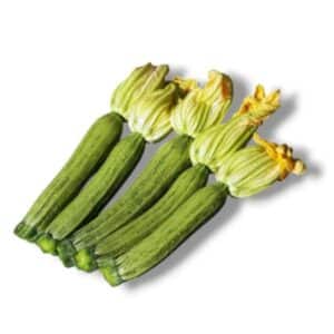 Zucchino Screziato Ortano Pro (Zucchini)
