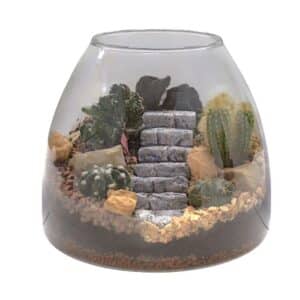 Terrarium with Stair Decor 25cm x H28cm