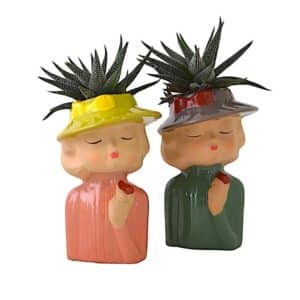 Hawortia in Decorative Woman Pot