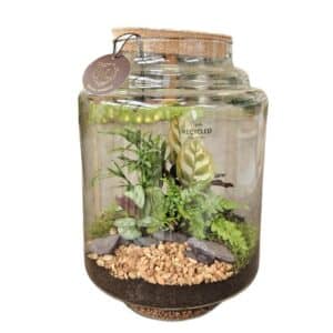 Terrarium Large Jar D25x H26cm