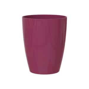 Fiji Orchid Pot 10.5cm Deep Rose