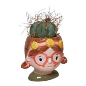 Cactus Mix in Girl Cover Pot 6.5cm