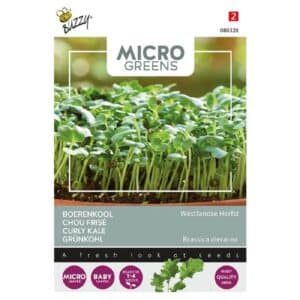 Buzzy® Microgreens, Curly kale Westland Autumn