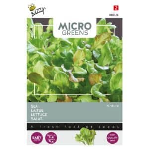 Buzzy® Microgreens, Mixed Salad