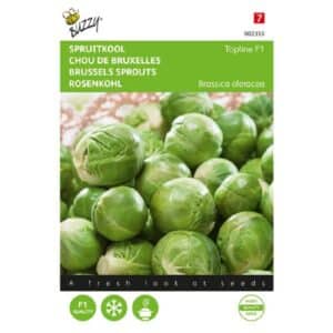 Buzzy® Brussels Sprouts Topline F1