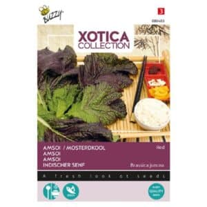 Buzzy® Xotica Red Amsoi or Mustard Cabbage