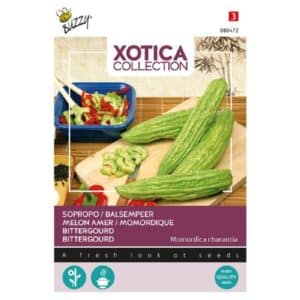 Buzzy® Xotica Sopropo, Balsam Pear