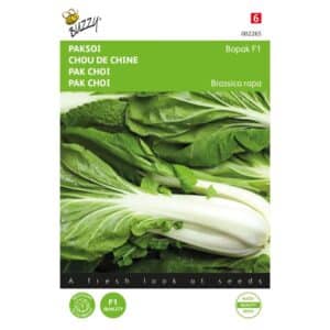 Buzzy® Pak Choi Bopak F1