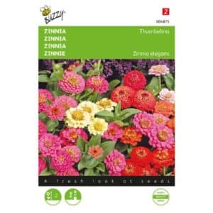 Buzzy® Zinnia Thumbelina low mixed