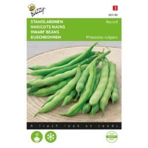 Buzzy® Dwarf French Beans Record