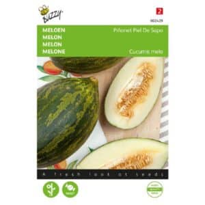 Buzzy® Melons Piñonet Piel De Sapo