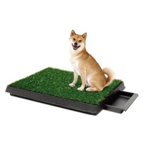 Artificial Lawn Dog Toilet with Drawer 64x51cm