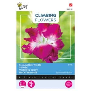 Buzzy® Climbing Flowers, Ipomoea Dubbel Rose