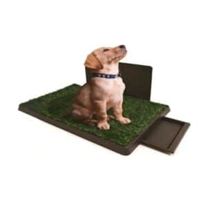 Artificial Lawn Dog Toilet with Drawer 76x51cm