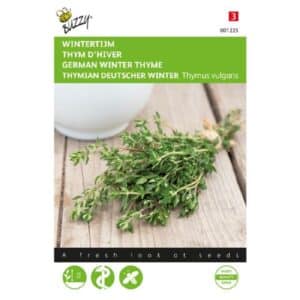 Buzzy® Thyme True Winter