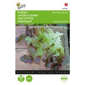 Buzzy® Loose-leaf Lettuce Red Salad, Red Oak Leaf
