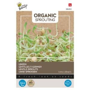 Buzzy® Organic Sprouting Lentils (BIO)