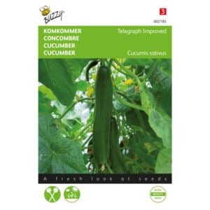 Buzzy® Cucumber Telegraph Improved