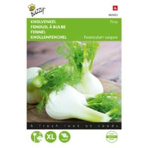 Buzzy® Fennel (Zefa) Fino