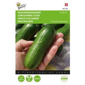 Buzzy® Snack Cucumber Iznik F1