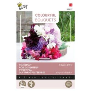 Buzzy® Colorful Bouquets, Royal Family (lathyrus)