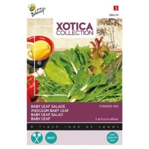 Buzzy® Xotica Salad Baby Leaf Oriental Mix