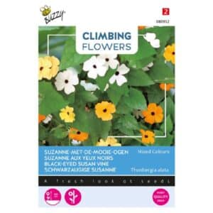 Buzzy® Climbing Flowers Thunbergia, Beautiful-Eyed