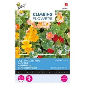 Buzzy® Climbing Flowers,Tropaeolum Jewel of Africa