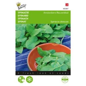 Buzzy® Spinach Amsterdam Giant Leaf Sharp Seed