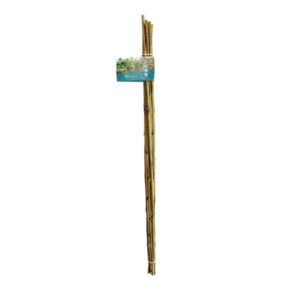 SOGO Tonkin sticks 60cm Ø8/10 10 pcs
