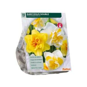Narcis Dubbel Mix per 15