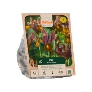 Dutch Iris ‘Bronze Queen’ - 15 Bulbs