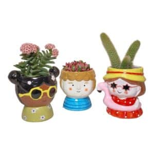 Cactus in Child Vase 6.5cm